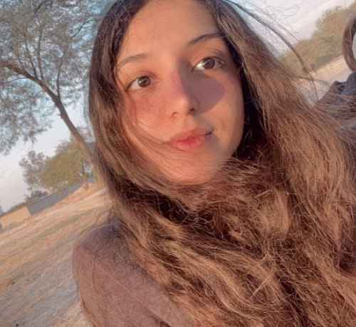 user profile