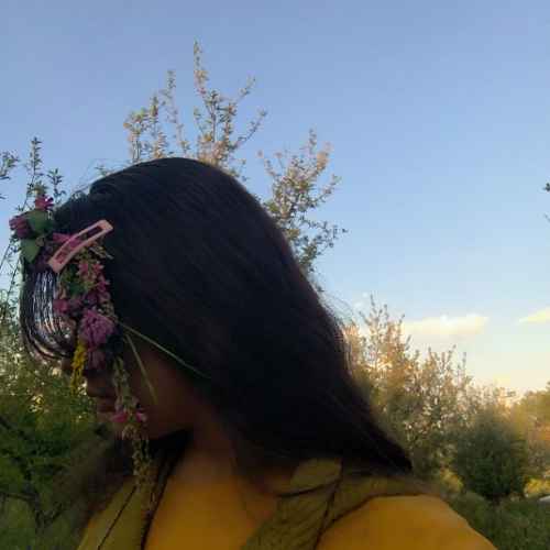 user profile