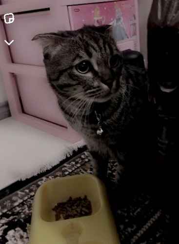 user profile