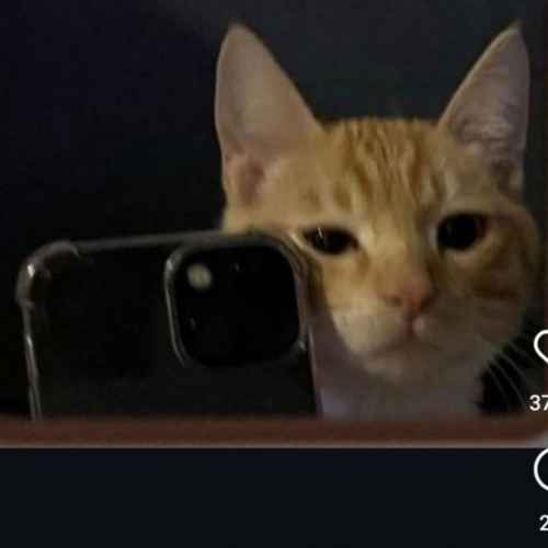 user profile