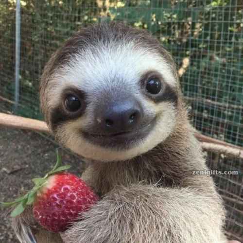 user profile
