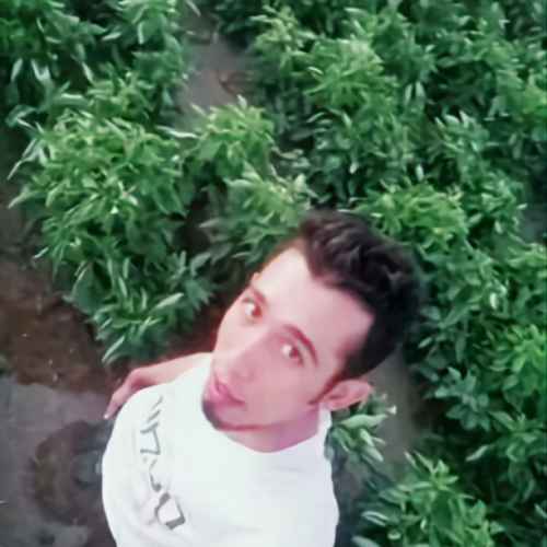 user profile