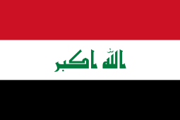 flag image