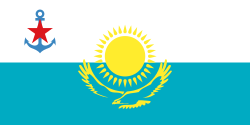 flag image