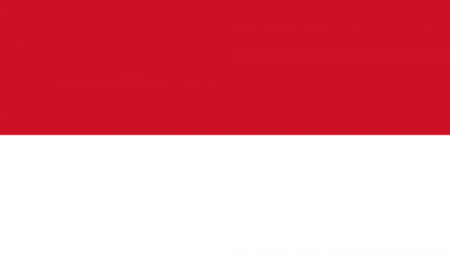 flag image