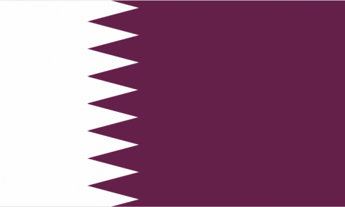 flag image