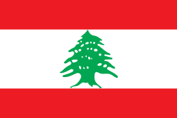 flag image