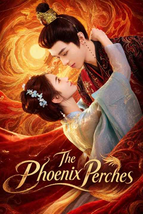 movie cover