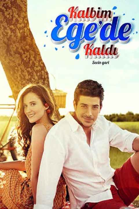 movie cover