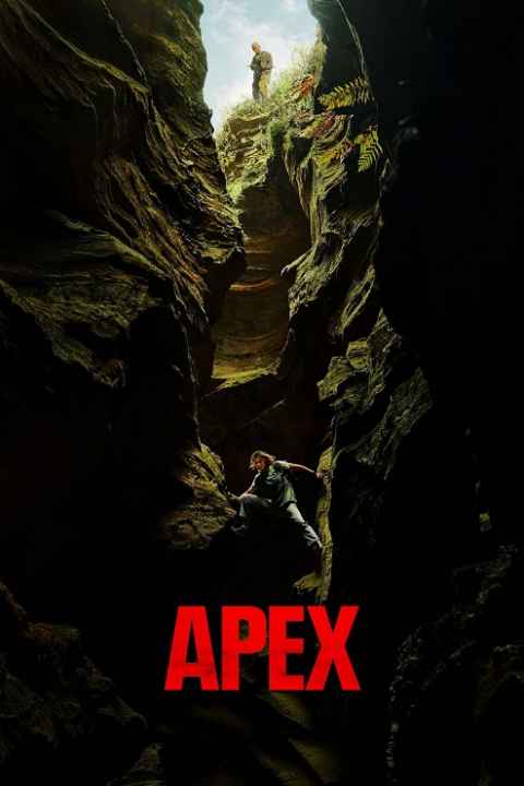 movie cover